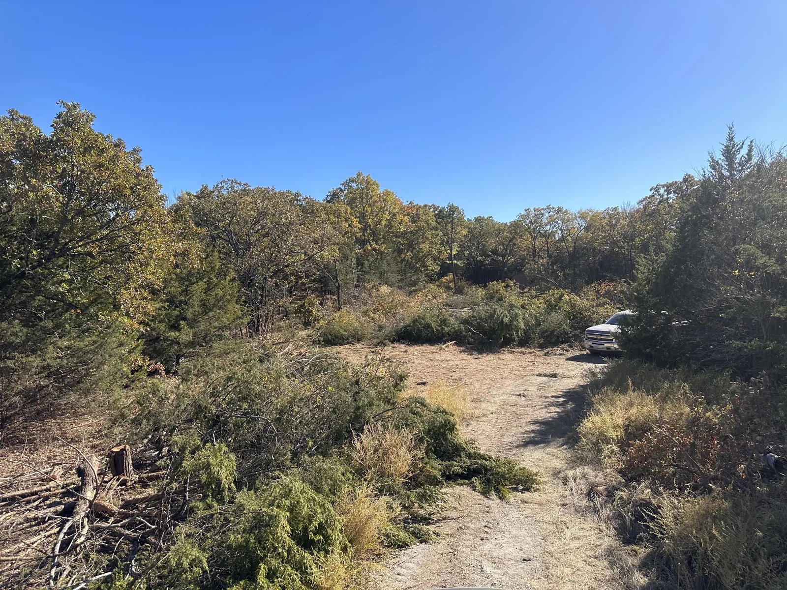 Land clearing and dirt work in Seminole, OK