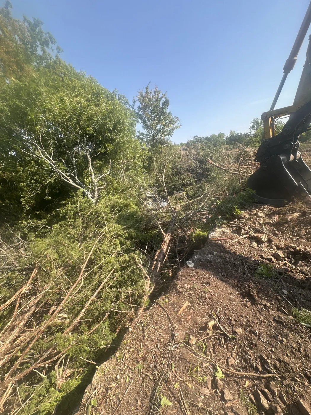 Fence row opened back up to clean ground on an Oklahoma ranch