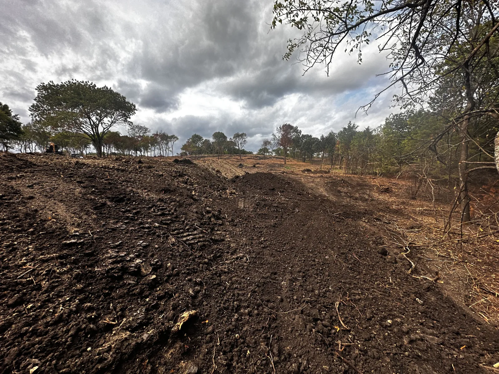 Fresh dirt pushed up and roughed in across a cleared tract