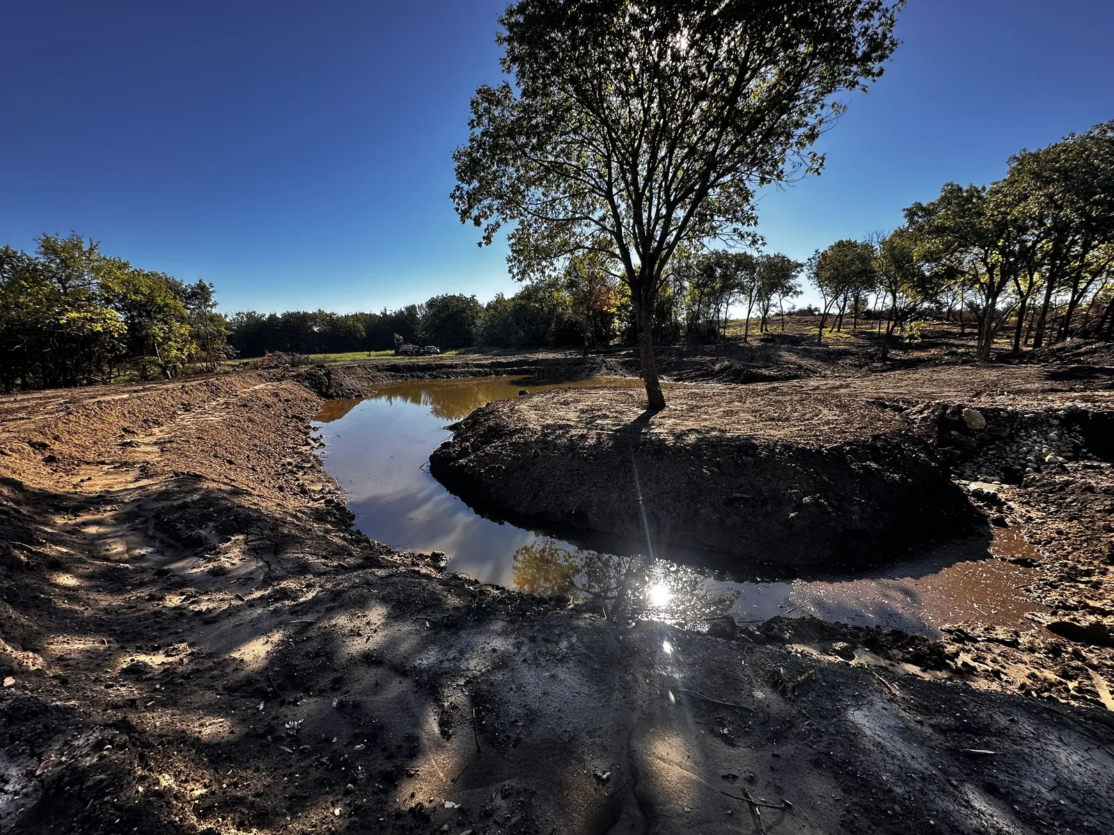 Finished pond holding water with the banks shaped and a tree left standing on the point