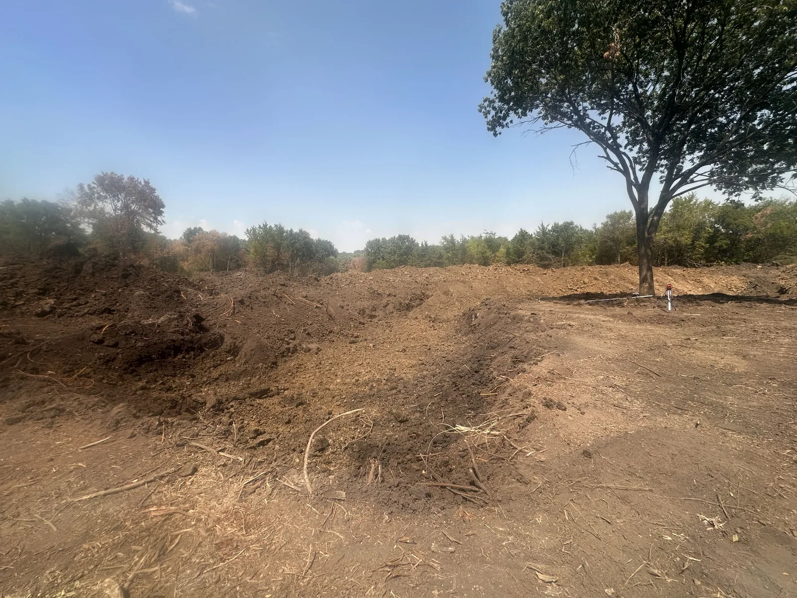 The pond basin cut back to shape with the spoil piled against the tree line